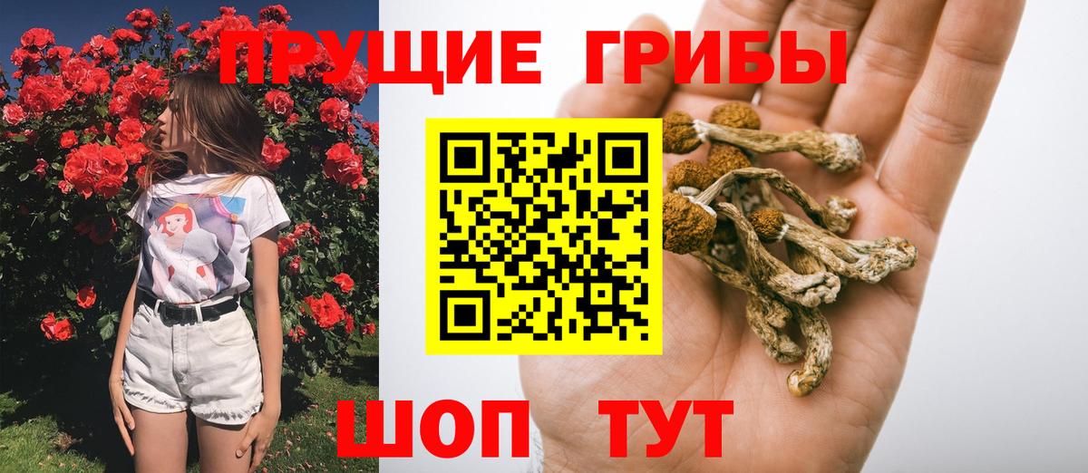 Галлюциногенные грибы Psilocybe  Вход с VPN  Новоуральск 